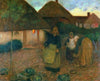 The Widow’s Acre