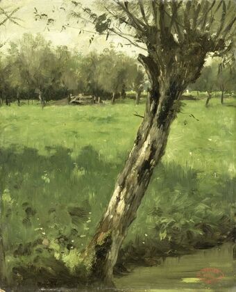 The Willow