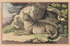 The Wolf (1787)