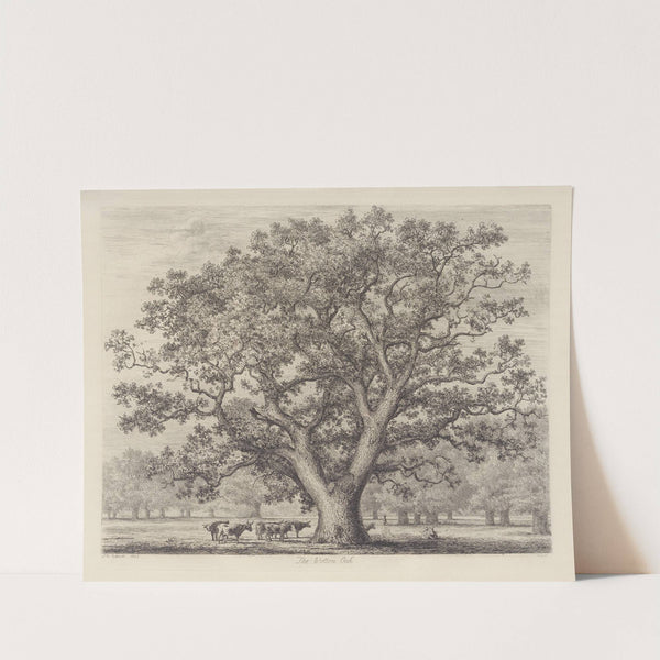 The Wotton Oak by Jacob George Strutt