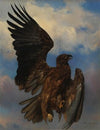 The Wounded Eagle