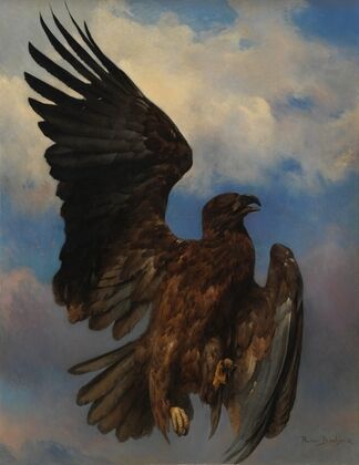 The Wounded Eagle