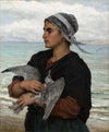 The Wounded Seagull