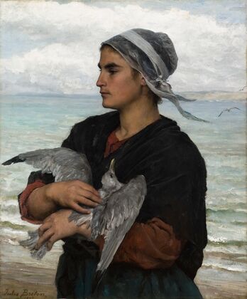The Wounded Seagull