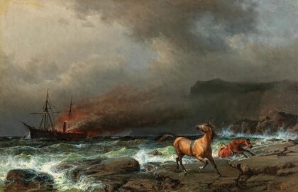 The Wreck of the Anglo Saxon