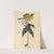 The Yellow-breasted Chat by Mark Catesby