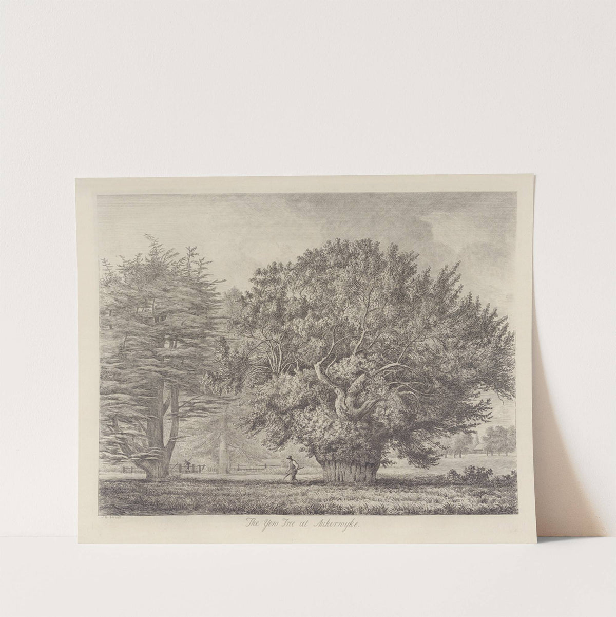 The Yew Tree at Ankerwyke by Jacob George Strutt
