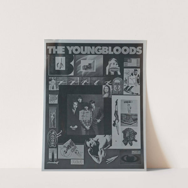 The youngbloods by Anonymous