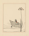 Theo van Hoytema, Het leelijke jonge eendje, 1893