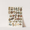 Thirty-one cut-outs from advertising banner for Allen & Ginter Cigarettes (ca. 1888) by Allen & Ginter