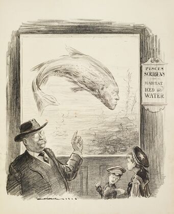 This, boys, is the largest weak-fish ever kept alive in captivity (1916)