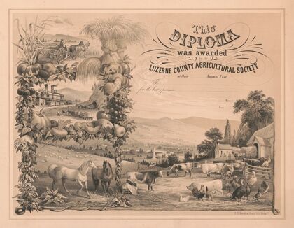 This diploma was awarded by the Luzerne County Agricultural Society at their annual fair (1857-1867)