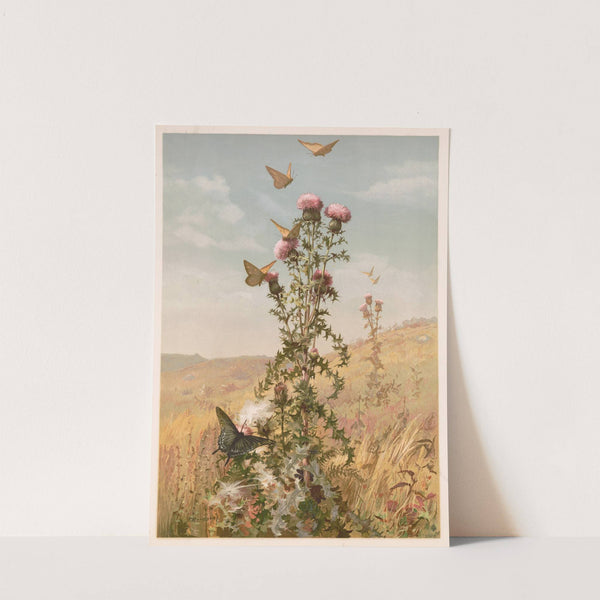 Thistle (1886) by Fidelia Bridges