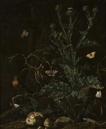 Thistles, butterflies and a lizard