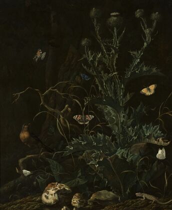 Thistles, butterflies and a lizard