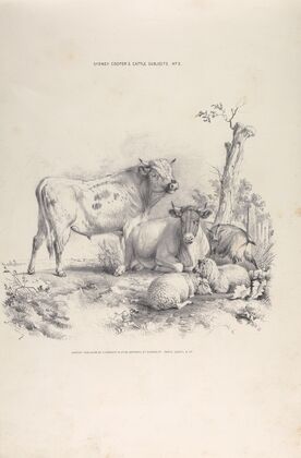 Thomas Sydney Cooper’s cattle subjects Pl.03