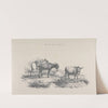 Thomas Sydney Cooper&#039;s cattle subjects Pl.10 by Thomas Sidney Cooper