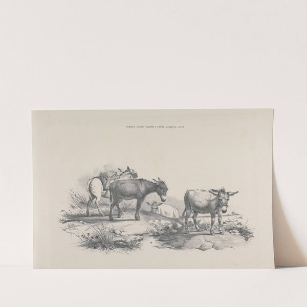 Thomas Sydney Cooper&#039;s cattle subjects Pl.10 by Thomas Sidney Cooper