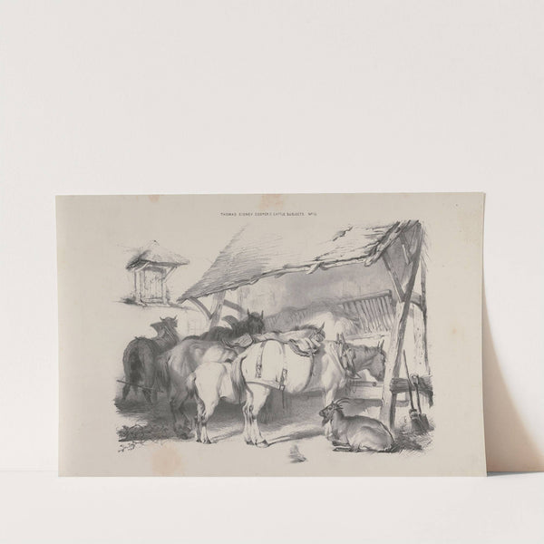 Thomas Sydney Cooper&#039;s cattle subjects Pl.12 by Thomas Sidney Cooper