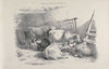 Thomas Sydney Cooper’s cattle subjects Pl.13