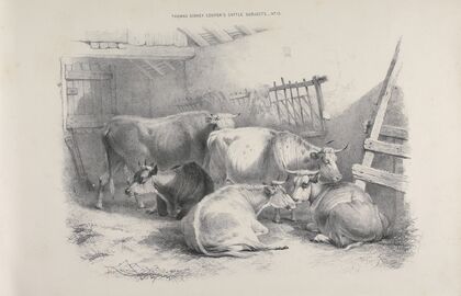 Thomas Sydney Cooper’s cattle subjects Pl.13
