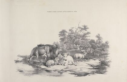 Thomas Sydney Cooper’s cattle subjects Pl.24