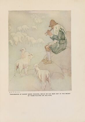 Thousands of sheep were feeding