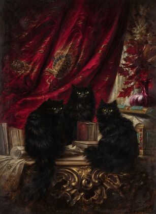 Three black cats