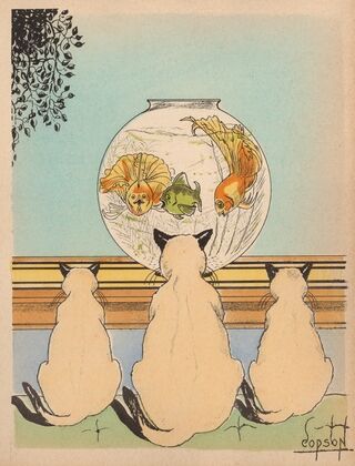 Three cats watching fish in an aquarium