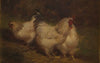Three Chickens (1910)