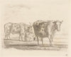 Three cows (1793)