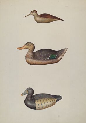 Three Decoy Ducks