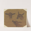 Three doe heads by Johann Melchior Roos