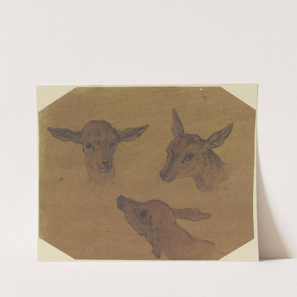 Three doe heads by Johann Melchior Roos