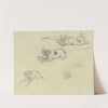 Three dog studies by Jacob Happ