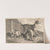 Three Dogs by Samuel Howitt