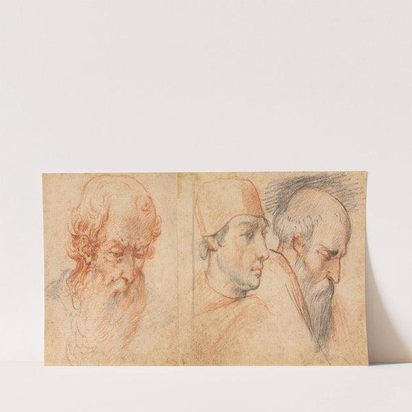 Three Head Studies (1600s)