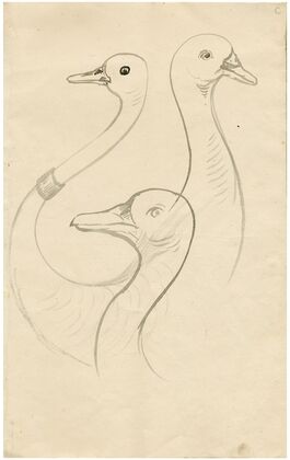 Three heads of gooses. Leaf of a sketchbook