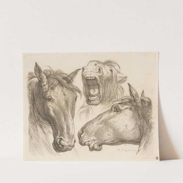 Three horse heads (1793) by Martin Ferdinand Quadal