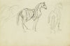Three horse studies