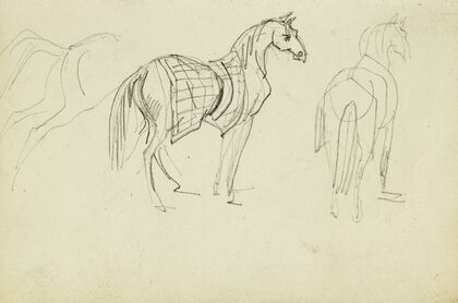 Three horse studies