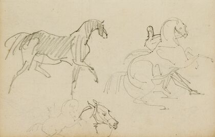 Three horse studies