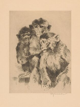 Three monkeys