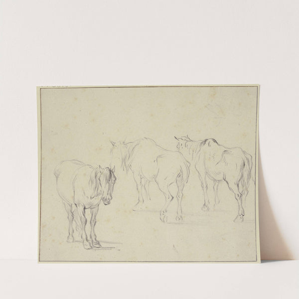 Three old horses by Pieter van Bloemen