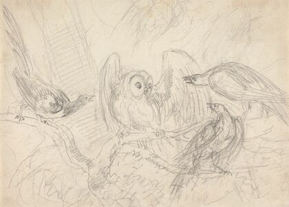 Three Pheasants Surrounding an Owl