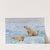 Three Polar Bears by Richard Friese