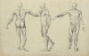 Three poses of musculature