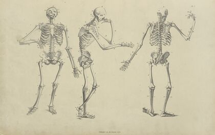 Three poses of skeleton