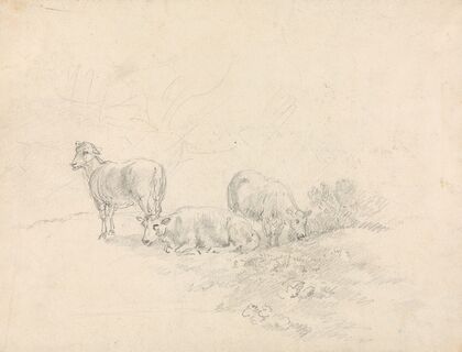 Three Sheep