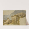 Three Sheep. Study by Kilian Zoll